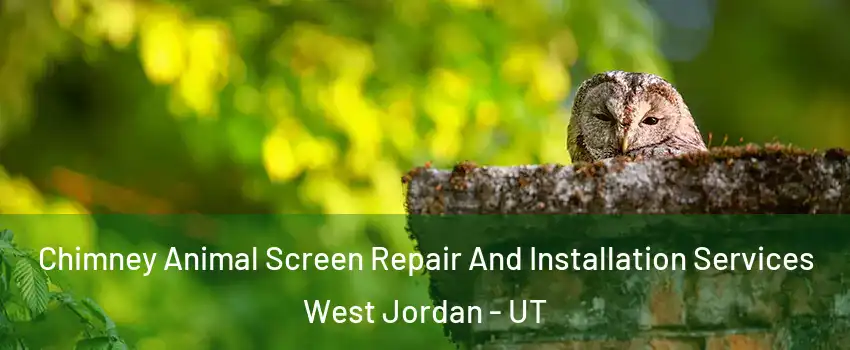 Chimney Animal Screen Repair And Installation Services West Jordan - UT