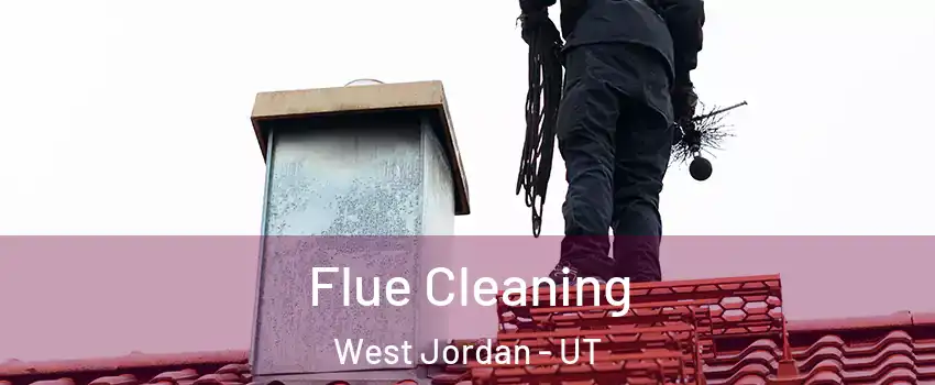 Flue Cleaning West Jordan - UT