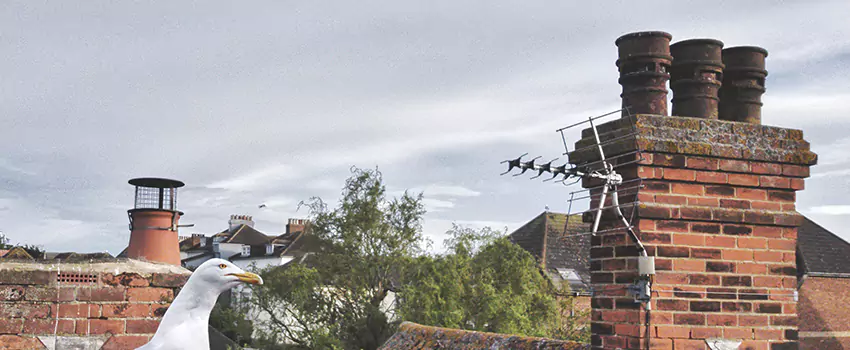Chimney Cleaning And Restoration in West Jordan, Utah