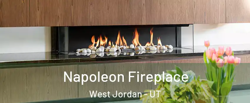Napoleon Fireplace West Jordan - UT